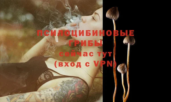 кокаин колумбия Зеленодольск