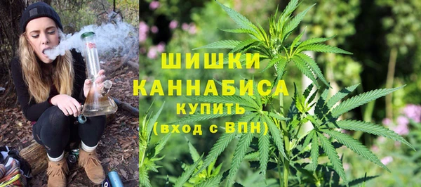 молекула духа Зеленокумск