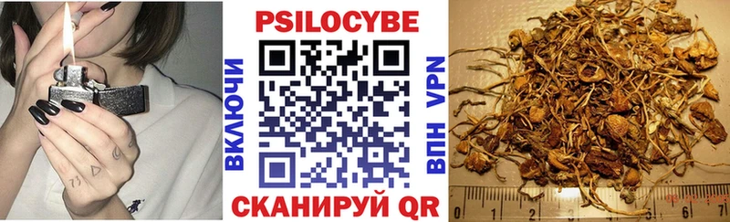 Купить закладки  Заозёрск  Псилоцибиновые грибы GOLDEN TEACHER 